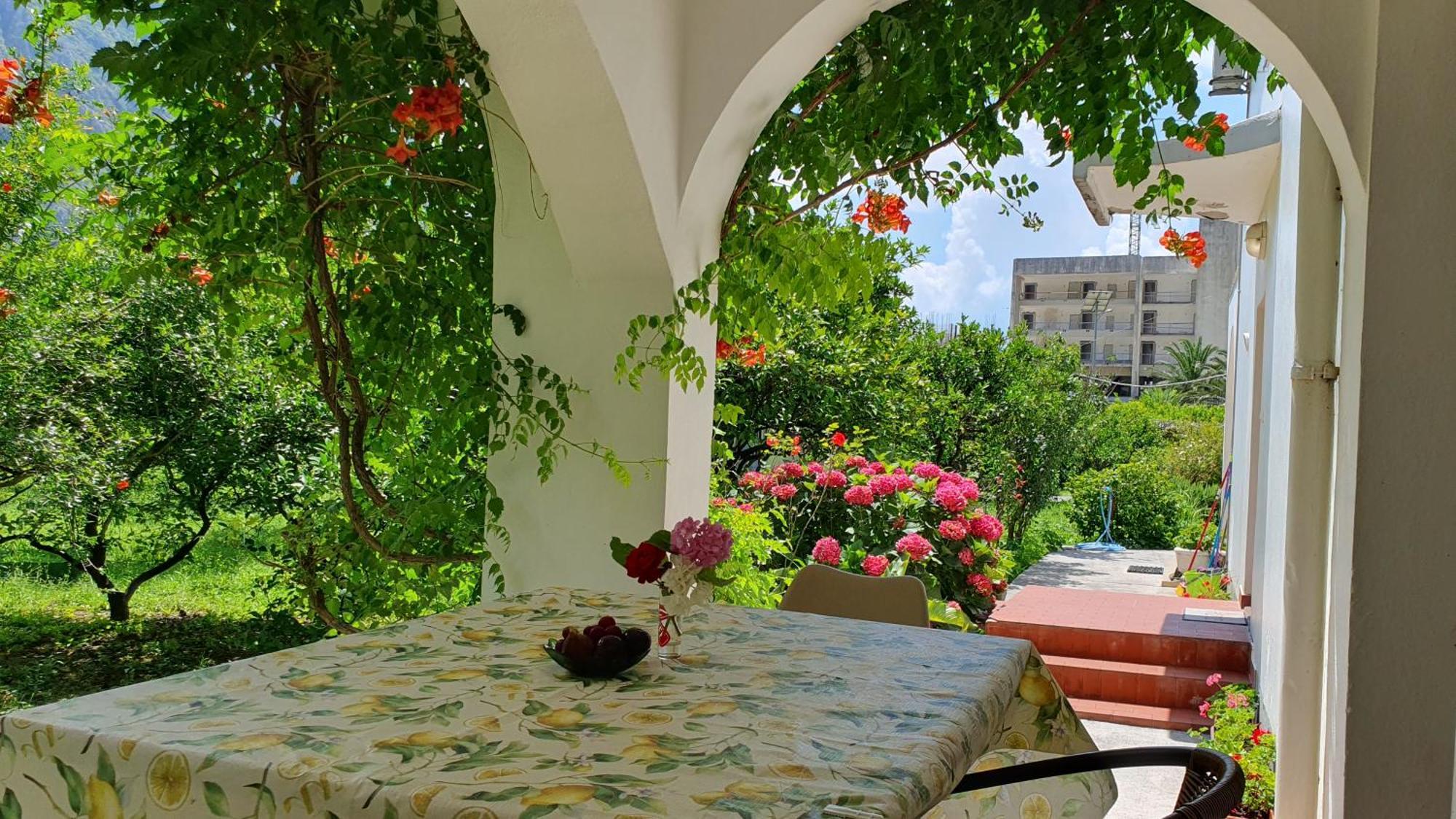 Apartments Ognjenovic Risan Luaran gambar