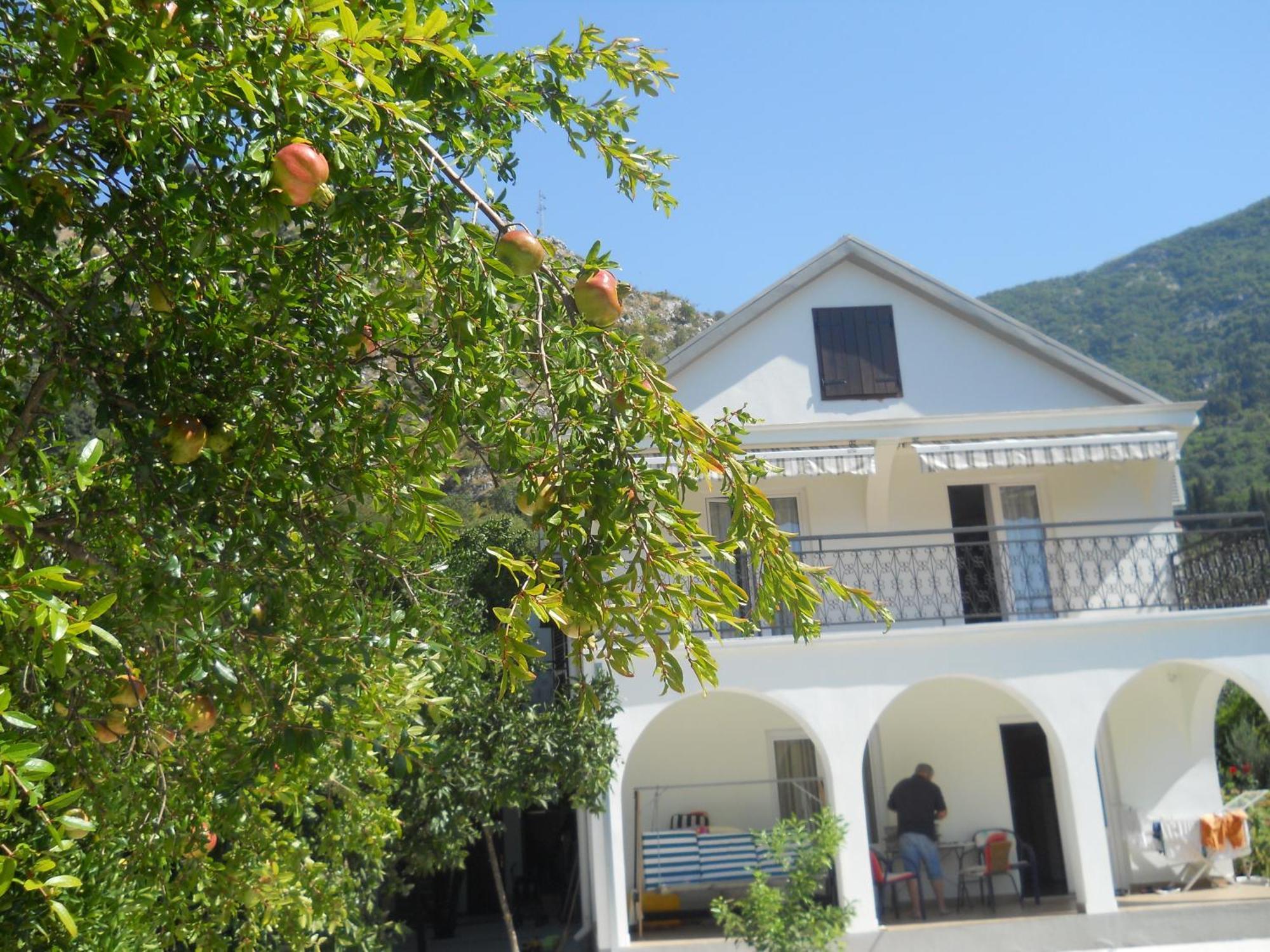 Apartments Ognjenovic Risan Luaran gambar